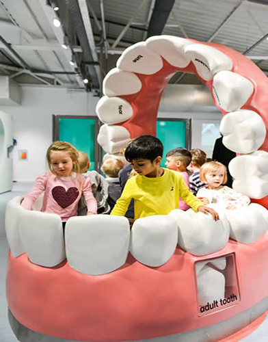 Giant Tooth Model
