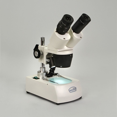 Wolfe® Intermediate Cordless Stereomicroscope, 20x and 40x Magnification