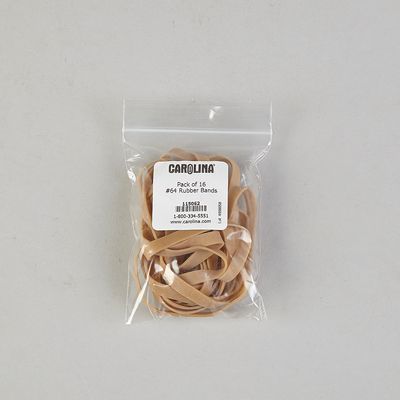 Rubber Band, #64, Pack of 16